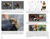 Bourdons d'Europe et des Contrées Voisines [Bumblebees of Europe and Neighbouring Regions]