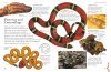 The Ultimate Book of Snakes and Reptiles