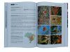 Flora do Brasil em Imagens, Volume 1 [The Flora of Brazil in Images, Volume 1]