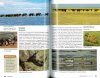 Stuarts' Field Guide to National Parks & Game Reserves