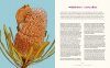 100 Australian Wildflowers