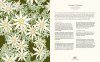 100 Australian Wildflowers