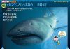 Shinkai Seibutsu no Kuizu Zukan Shinso-Ban [Deep Sea Creatures Pictorial Quiz Book]