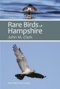 Rare Birds of Hampshire
