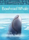 Animals Illustrated: Bowhead Whale