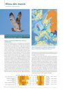 Atlas des Oiseaux Migrateurs de France [Atlas of Migratory Birds of France] (2-Volume Set)