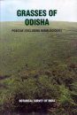 Grasses of Odisha