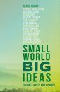Small World Big Ideas