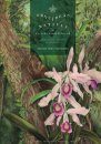 Orquídeas Nativas de Florianópolis: Conhecimento, Educação e Conservação [Native Orchids of Florianópolis: Knowledge, Education and Conservation]