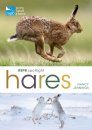RSPB Spotlight: Hares