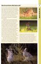 RSPB Spotlight: Hares