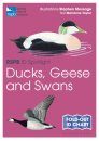 RSPB ID Spotlight: Ducks, Geese and Swans