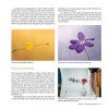 Creative Flower and Plant Photography