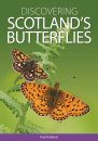 Discovering Scotland’s Butterflies