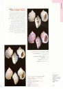 The Molluscs of Gulf of Mannar, India and Adjacent Waters