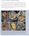 La Diversification des Échinodermes au Paléozoïque Inférieur: L'Apport des Gisements à Préservation Exceptionelle [The Diversification of Echinoderms in the Lower Paleozoic: The Contribution of Deposits with Exceptional Preservation]