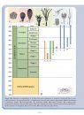 La Diversification des Échinodermes au Paléozoïque Inférieur: L'Apport des Gisements à Préservation Exceptionelle [The Diversification of Echinoderms in the Lower Paleozoic: The Contribution of Deposits with Exceptional Preservation]