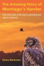 The Amazing Story of Montagu's Harrier