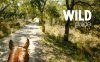 Wild Guide - Andalucia