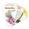 Ireland's Biodiversity: Butterflies