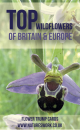 Wildflowers of Britain and Ireland Top Trumps