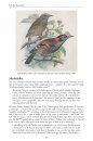 The Bird Name Book