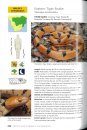 A Complete Guide to the Snakes of Southern Africa