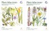 Plant Atlas 2020: Mapping Changes in the Distribution of the British and Irish Flora (2-Volume Set)
