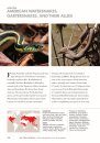 Snakes of the World