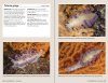 Nudibranchs of Britain, Ireland and Northwest Europe