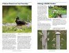RSPB Handbook of Garden Wildlife