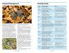 RSPB Handbook of Garden Wildlife