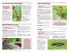 RSPB Handbook of Garden Wildlife