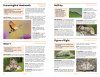 RSPB Handbook of Garden Wildlife