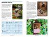 RSPB Handbook of Garden Wildlife