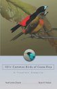 101+ Common Birds of Costa Rica