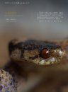 Sinoophis: Atlas of Snakes in China (2-Volume Set) [Chinese]