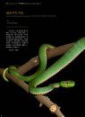 Sinoophis: Atlas of Snakes in China (2-Volume Set) [Chinese]