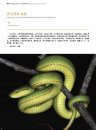 Sinoophis: Atlas of Snakes in China (2-Volume Set) [Chinese]