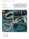 Sinoophis: Atlas of Snakes in China (2-Volume Set) [Chinese]