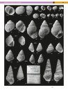 Trias: Aufbruch in das Erdmittelalter [Triassic: Beginning of the Mesozoic] (2-Volume Set)