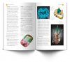 The Natural History Museum Book of Gemstones