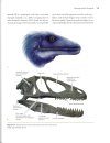 An Illustrated Guide to Dinosaur Feeding Biology