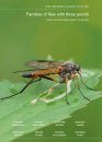 Field Guide to Flies with Three Pulvilli