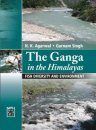 The Ganga in the Himalayas