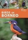 Birds of Borneo