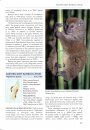 Handbook of Mammals of Madagascar
