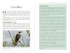 Bradt Wildlife Guide: Galápagos Wildlife