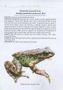 The Amphibians of Bhutan