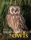 Short-Eared Owls
